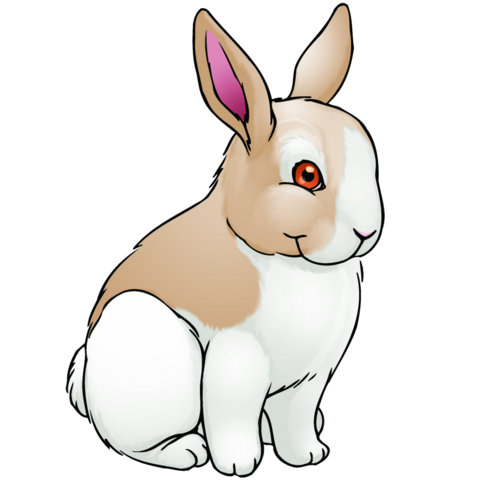 Rabbit-ChildUp.com_