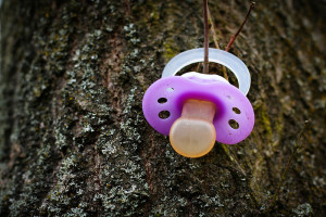 800px-Pacifier_on_tree-300x200