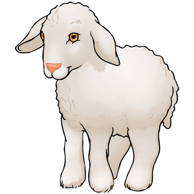 sheep-color01
