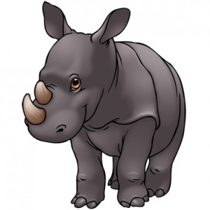 rhinoceros-color01-300x300