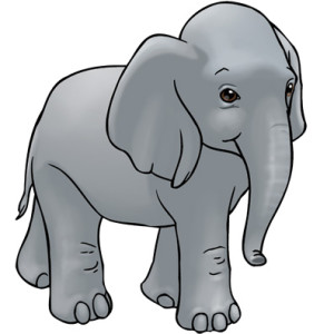 elephant-color01-300x300
