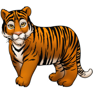 tiger-color02-300x300