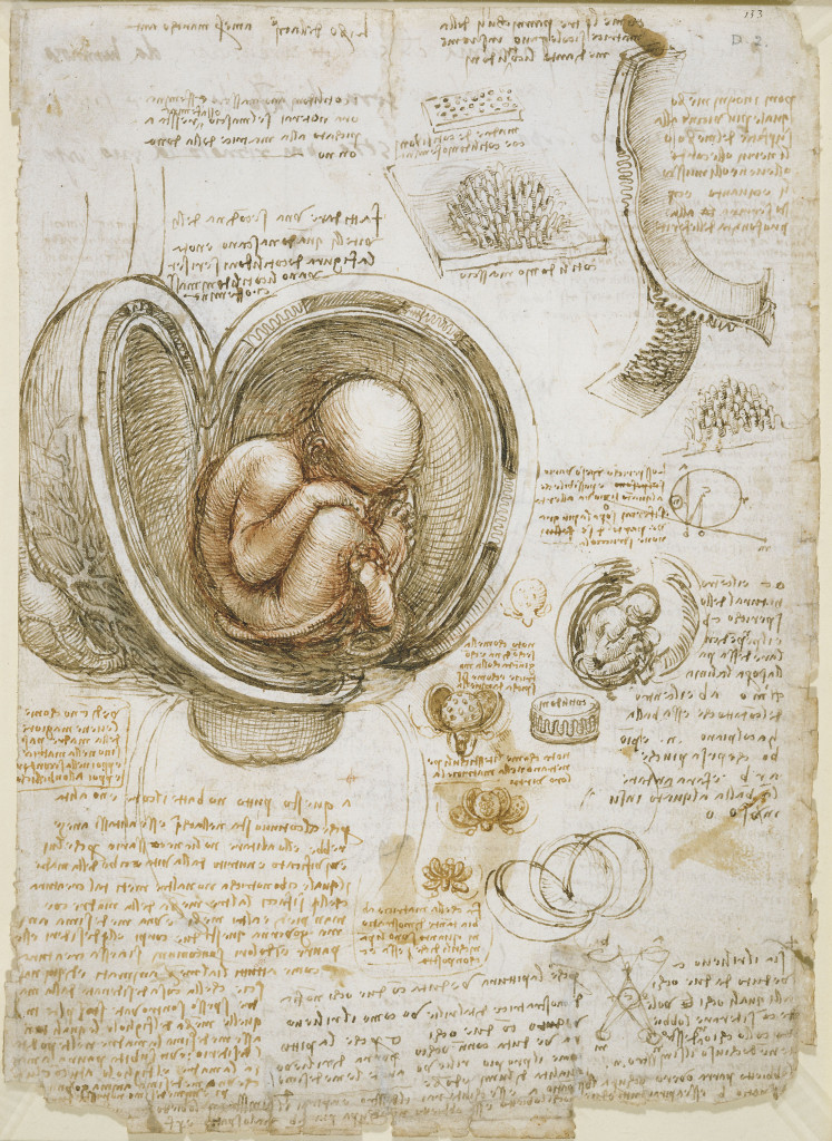 Studies of the Fetus in the Womb by Leonardo da Vinci (Wikimedia Commons)