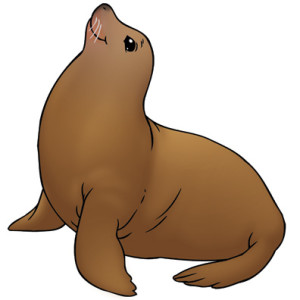 sealion-color01-300x300