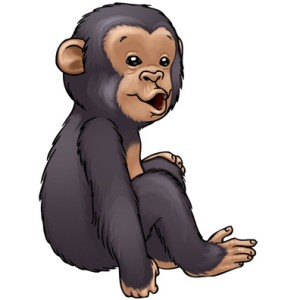 chimpanzee-color01-300x300